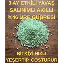 Sağlam Tarım Üre Gübresi Yavaş Salınımlı Akıllı Çim Gübresi