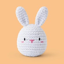 Tavşan Örgü Kiti - Amigurumi Tığ Kitimini Tavşan Örgü Kiti - Amigurumi Tığ Kiti