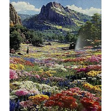 Yapışan Boncuk Mozaik Tablo 30 * 40 cm XQH92281