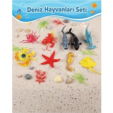 Parça Gerçekçi Deniz Hayvanları Figür Seti - Eğitici Okyanus Canlıları Oyuncak