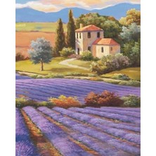 Baskılı Sayılarla Boyama Hobi Seti (Çerçeveli) 40X50 Cm: Lavanta Tarlası 2