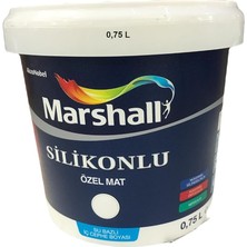 Bazlı Amerikan Panel Kapı Boyası Kokusuz 0,75 Lt Meteor
