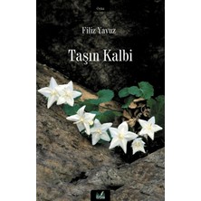 İzan Yayıncılık Taşın Kalbi