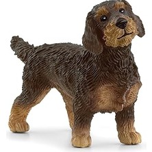 Renas Store Schleich Tel Tüylü Dachshund, Oyuncak Figür