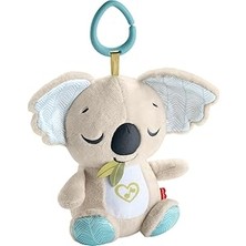 Renas Store Fisher-Price Taşınabilir Uyku Yardımcısı Koala Ses Makinesi, Yenidoğanlar Için Beyaz Gürültü ve Müz