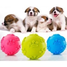 Marsilyan™- Köpek Isırma Topu Pati Desenli 1291