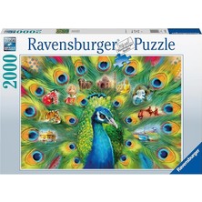 2000 Parça Tavus Kuşu Puzzle