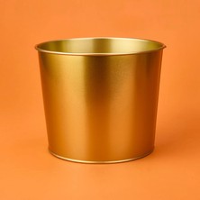 Evstyle Paslanmaz Saksı - Gold - 22X18 cm