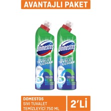 Domestos Sıvı Tuvalet Temizleyici 2 x 750 ml