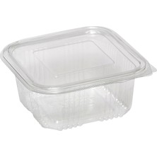 Kut Fly Propack Sızdırmaz Kullan-At Taşıma Kabı 500 cc 10'lu 2 Adet