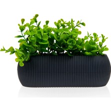 Matmel Coral Oval Saksı - 0,55 Lt - Asorti