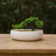 Objevi Desenli Elips Saksıda Bonsai - Renkli - 24X33 cm