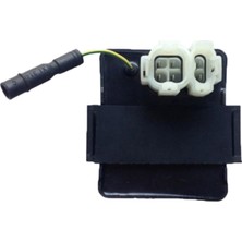rialli Honda Cbf 150 Cdı Ecu (Beyin) (Yeni Model) (Kablolu) (Ithal)