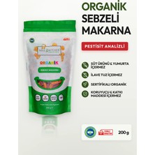 Soul Kitchen Organik Sebzeli Makarna 200 gr (Vegan) (İlave Tuzsuz)