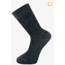 Pro Gardıon Compact Pamuk Erkek Rahat Yazlık Çorap 12LI