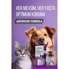 Mixtura Pharma Immun Sıvı