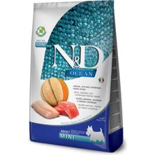 N&D Nd Ocean Somonlu Adult Mini Tahılsız Köpek Maması - 2.5 Kg