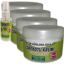 Lidyada Mem Çörek Otu Kremi 4 Adet - Çörek Otu Yağı Hediye