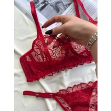 D Lingerie Rouge  Dantel Transparan Bralet Sütyen Takım DM1366