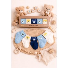 Baby Socks 5 Çift Kutulu Ayıcık Aksesuarlı Erkek Bebek Çorabı 0-6 Ay