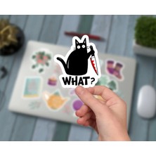 Sticker Usta Katil Kedi Sticker - Araba Oto Motosiklet Karavan Araç Cam Sticker - 00226