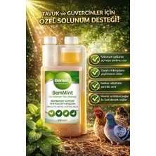 Bemoty BEMMİNT500 ml