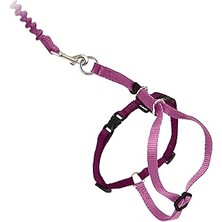 Uravas Store Petsafe Come With Me Kitty Koşum Takımı ve Bungee Tasma, Kediler Için Koşum, Büyük, Tozlu Gül/bordo