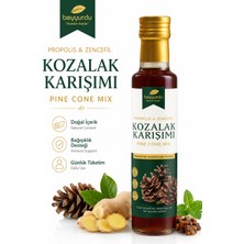 Zencefilli Propolisli Kozalak Şurubu Beyyurdu Bağışıklık Destekleyici Karışım