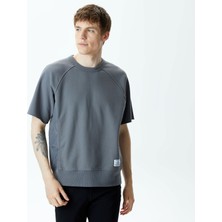 Alpha Industries Sleeve Erkek Gri Sweatshirt