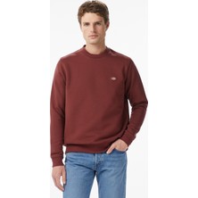 Dickies Oakport Erkek Kahverengi Sweatshirt