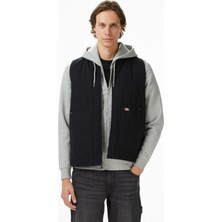 Dickies Quilted Canvas Erkek Siyah Ceket