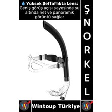 Premini Yüksek Şeffaflıklı Konforlu Şnorkel, Ayarlanabilir ve Havuz/dalış Için