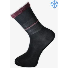 Pro Asparagus Pamuk Kışlık Soket Rahat Kadın 12'li Çorap
