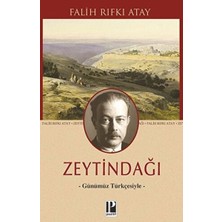 Pozitif Yayınları Zeytindağı - Günümüz Türkçesiyle
