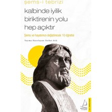 Destek Yayınları Kalbinde Iyilik Biriktirenin Yolu Hep Açıktır - Şems ve Hayatınızı Değiştirecek 10 Öğretisi