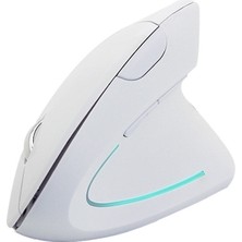 Cloody Dikey Ergonomik Kablosuz Mouse (Sarjlı)