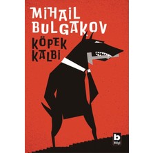 Bilgi Yayınevi Köpek Kalbi