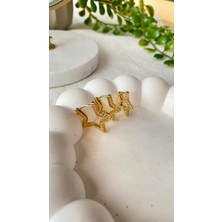Jewelry Üçlü 14K Taşlı Yıldız Model Küpe Seti