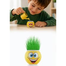 Omilife Emoji Figürlü Çim Adam Oyuncak Toprak Tohumlu Dekoratif Saksı Çocuk Eğitici Bitki 6 cm