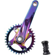 Double Tree 34T Rainbow Hollowtech Aynakol  170 mm – Tekli Aynakol Göbek Dahil