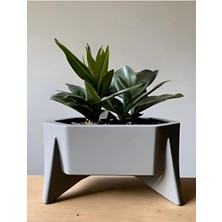 Empressco Altıgen Tasarım Saksı - Modern Dekoratif Planter