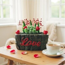 Empressco Love Yazılı Kütük Tasarımlı Saksı