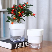 Empressco Kendinden Sulamalı Şeffaf Hazneli Kare Akıllı Saksı