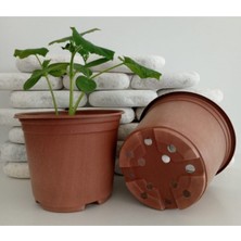 Empressco Yuvarlak Saksı 10 Adet 15X13 cm Üretim Saksısı Vakum Saksı Ucuz Saksı - Fiyatı, Yorumları
