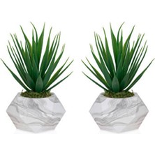 Empressco 2 Adet Mermer Görünümlü Saksıda Yeşil Yapay Kaktüs Aloevera