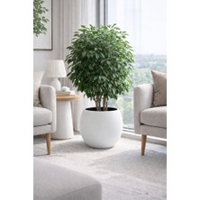 Empressco Küre Model Iç Drenaj Hazneli Dekoratif Modern Saksı 27,5 Lt Beyaz