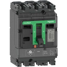 Schneider Electric C16F3TM125 NSX160F 36KA Ac 125A 3p/3d Tmd Compact Şalter