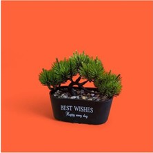 Empressco Saksılı Yapay Bonzai