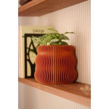 Empressco Venüs | Tasarım Saksı | Sukulent & Kaktüs Saksısı | Dekoratif Hediyelik Eşya | Bakır | 14X13 cm - Fiyatı, Yorumları