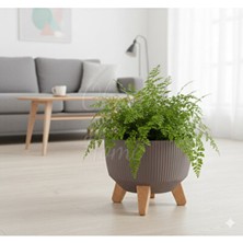 Empressco Modern Stick Line Bambu Ayaklı Saksı Akıllı Altlıklı 23X19 cm 5 Litre